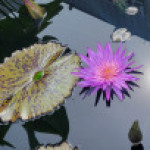 박영아_충남_서산중님의 프로필 사진