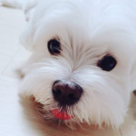 김태용_충북_삼보초등학교(master)님의 프로필 사진